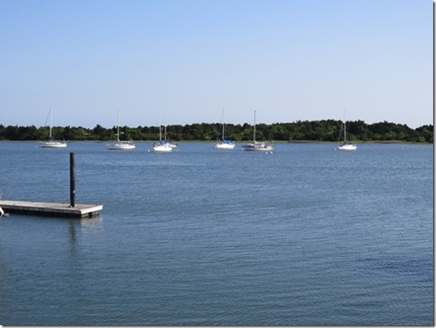 visasmallMoorings on the river at Beaufortdavid