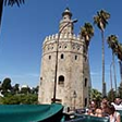 View album