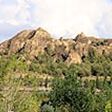 View album
