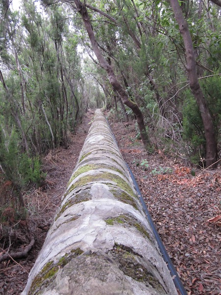 Inline image 5