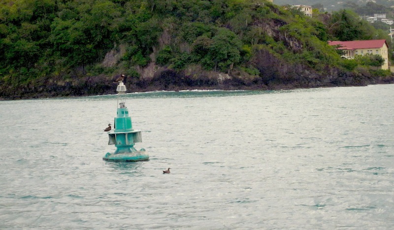Inline image 13