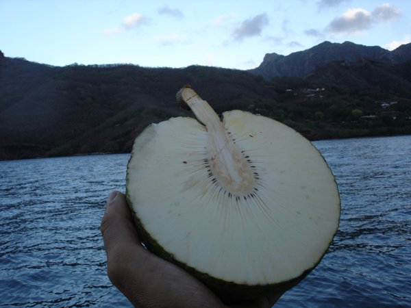 fruit a pain