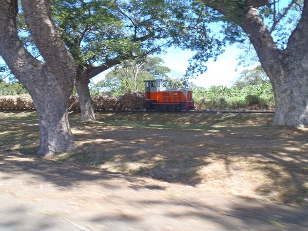 m_P9030040