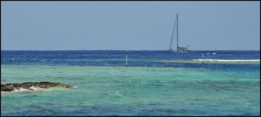 DSC_8312
