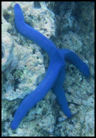 CP 1st Spuddle and Snorkel 059