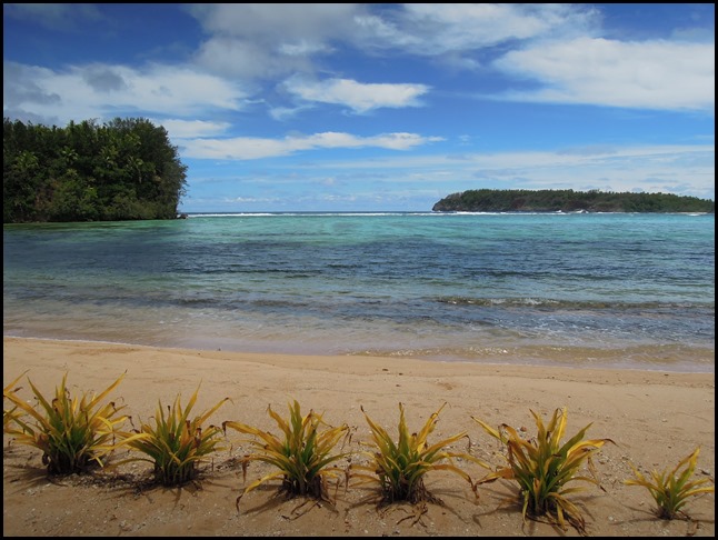 CPTongan Feast 020