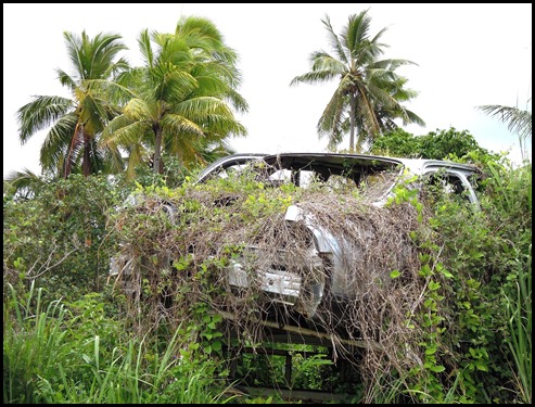 CP Nukualofa Car 039