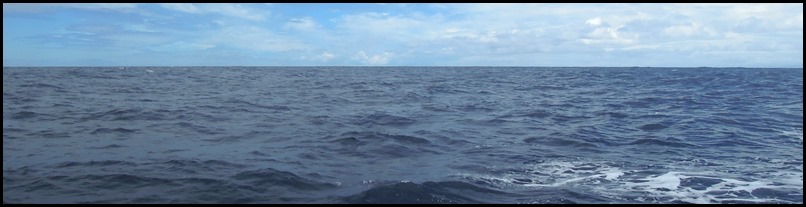 DSCN2855