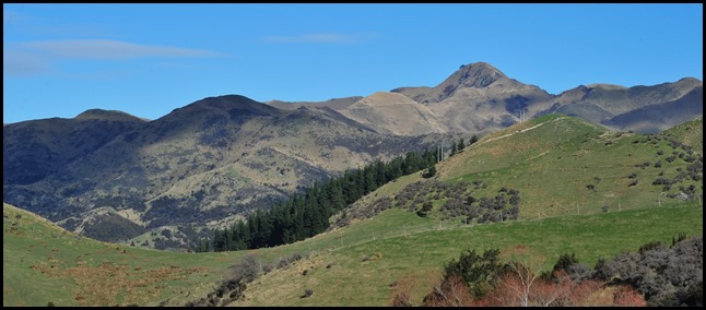 DSC_2082