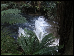 IMG_9816