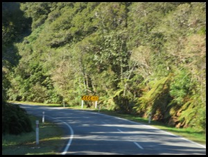 IMG_6526