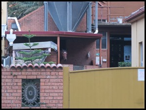 IMG_7735