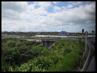 IMG_7706