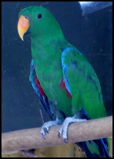 IMG_8375