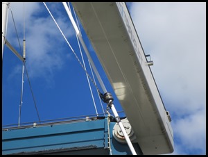 IMG_0886