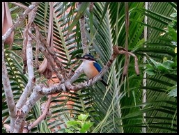 IMG_1025