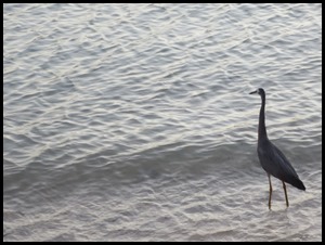 IMG_5017