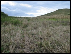 IMG_5245