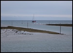 IMG_7430