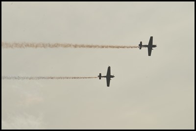DSC_1259