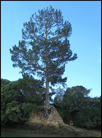 Nature 2