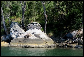 IMG_2308