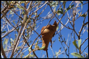 IMG_3573