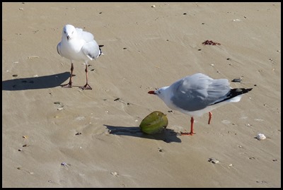 IMG_5670