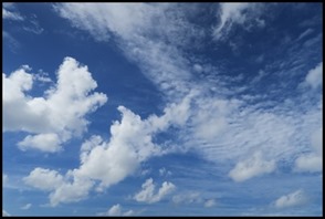 IMG_6624