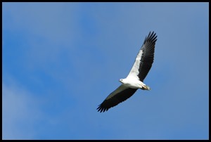 DSC_3056