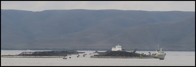 IMG_7206