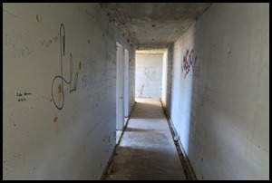 IMG_8199