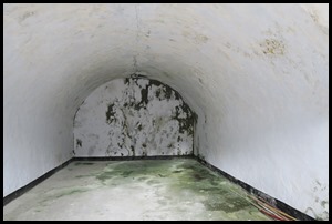 IMG_1091