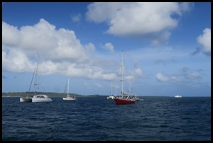 IMG_2011