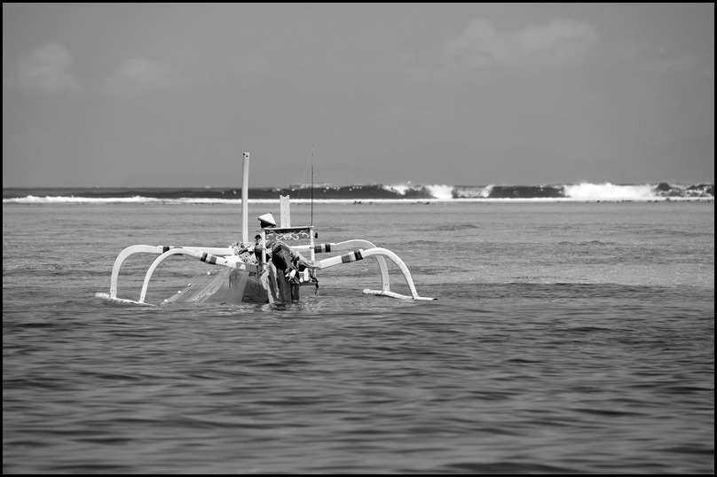 DSC_4206
