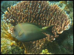 IMG_4400