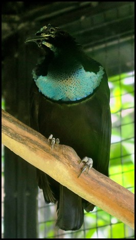 IMG_5032
