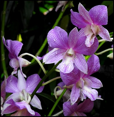 DSCN0301