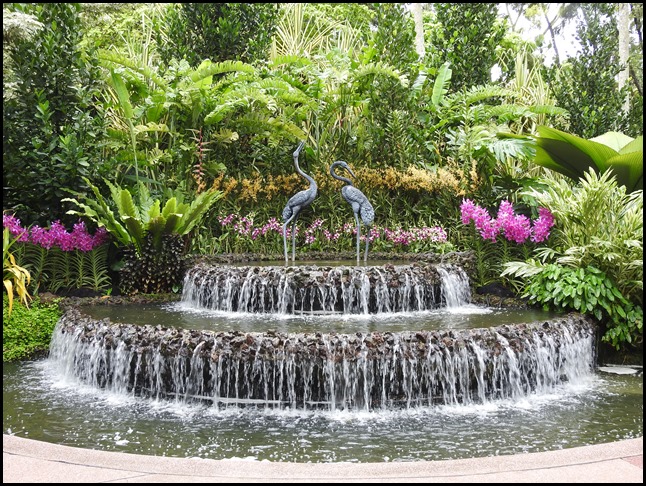 DSCN0230