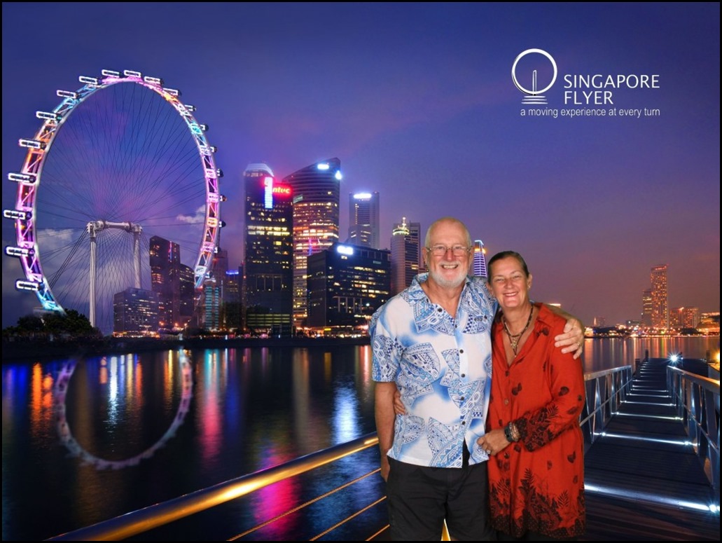 SGFD31318M173027_2016110609863-pre