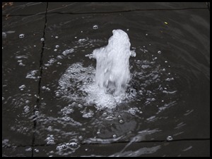 DSCN0475
