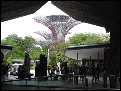 DSCN0590