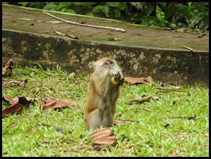 DSCN1576