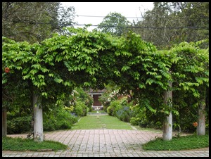 DSCN1634