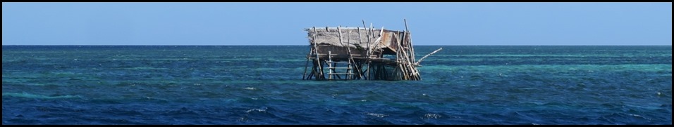 Shack 2