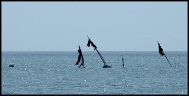 DSCN3821