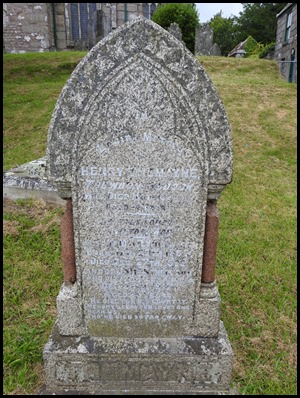 DSCN5383