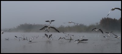 IMG_0023