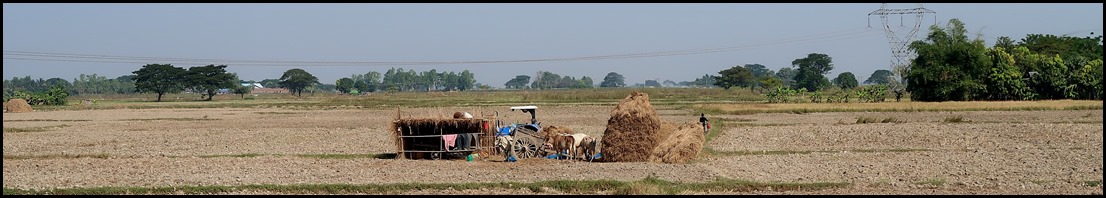 IMG_0112