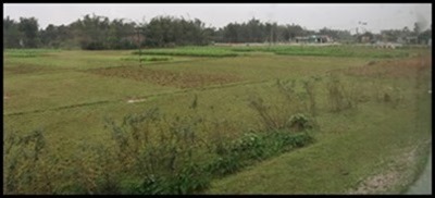 IMG_0055